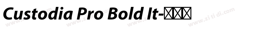 Custodia Pro Bold It字体转换